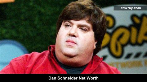 dan schneider net worth